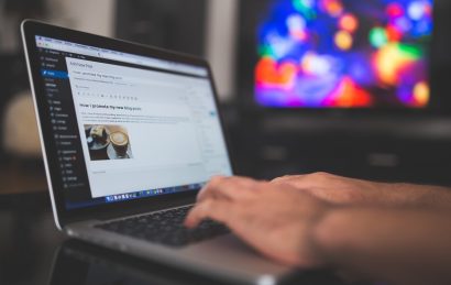 درآمدزایی از وردپرس